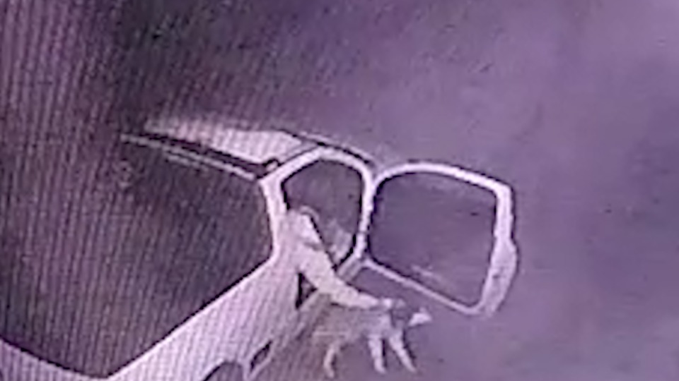 Policial Ambiental é suspeita de abandonar cachorro no Paraná