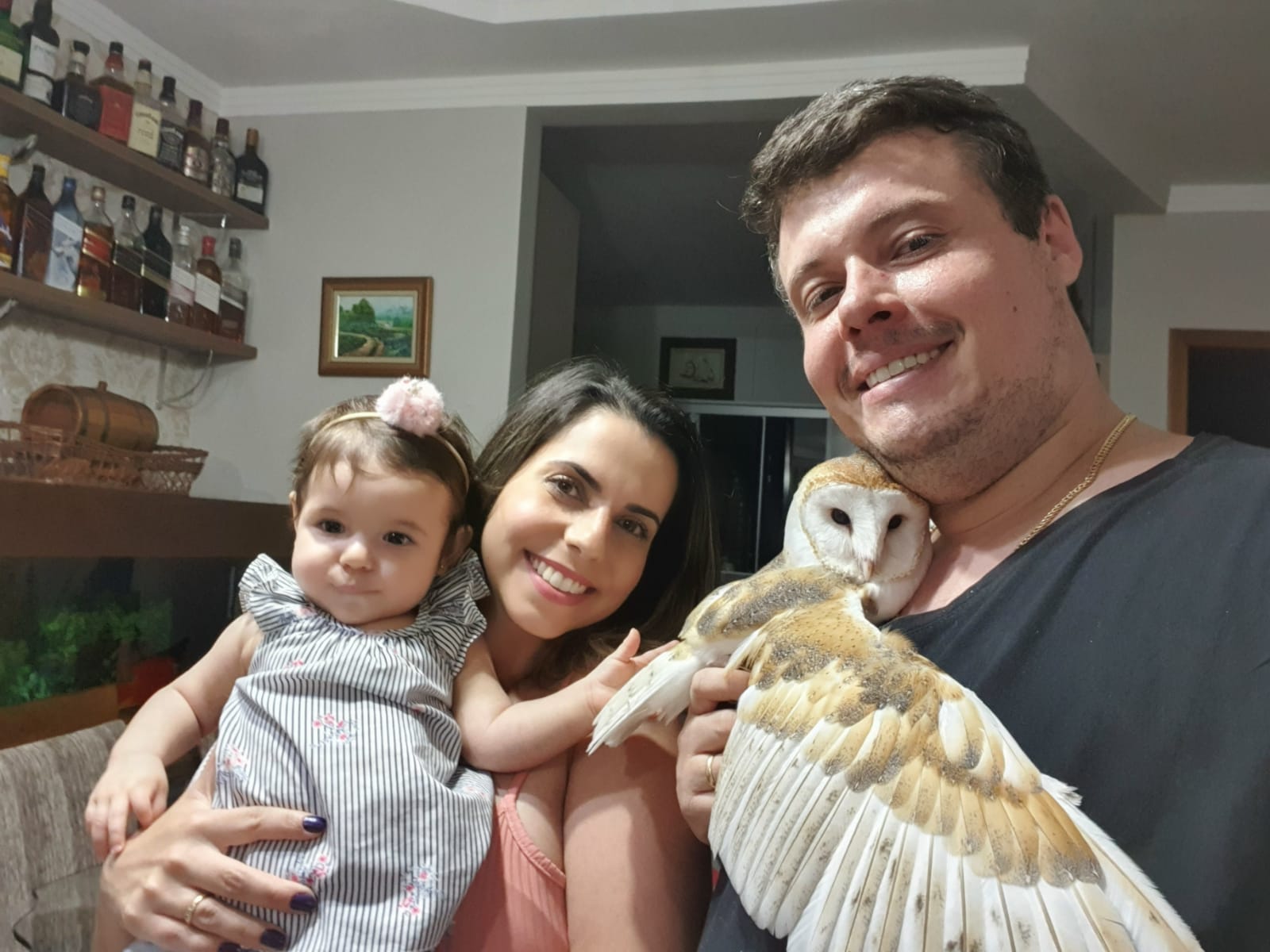 Famílias de Maringá que moram com animais de estimação incomuns