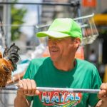 Carrinheiro percorre ruas atrás de recicláveis com galo de estimação ao lado, em Curitiba