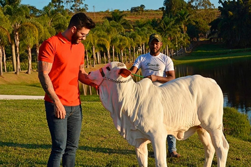 fazenda de gusttavo lima