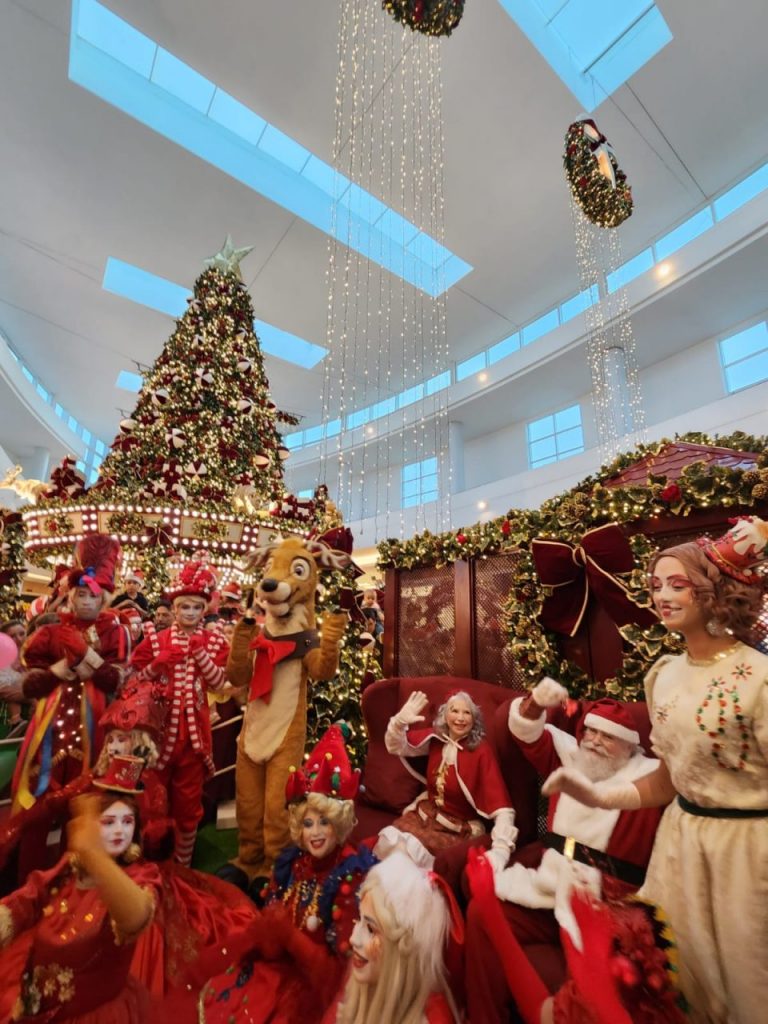 WhatsApp Image 2023-11-03 at 11.07.40