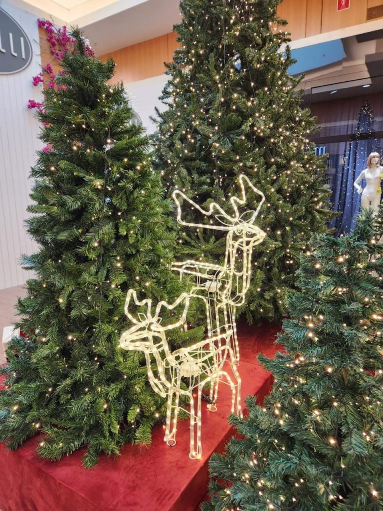 WhatsApp Image 2023-11-17 at 09.26.18 (2)