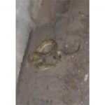 WhatsApp-Image-2023-11-22-at-09.13.49