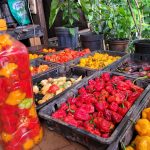 WhatsApp Image 2023-11-29 at 16.38.59 (1)