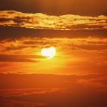 pexels-christo-james-v-724507