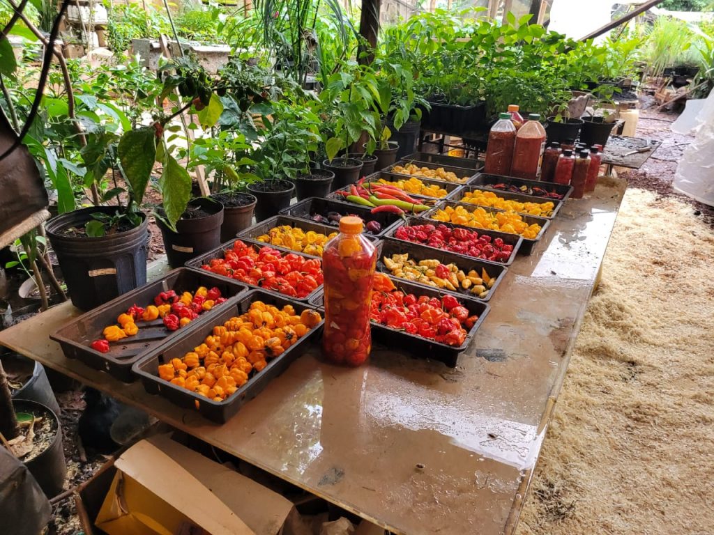 WhatsApp Image 2023-11-29 at 16.38.58 (1)