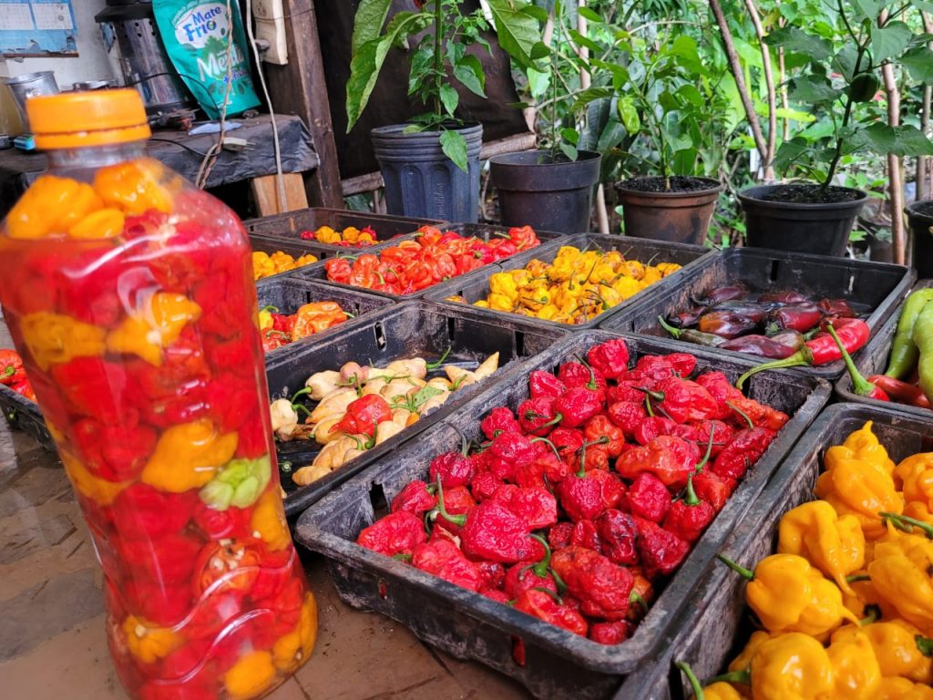 WhatsApp Image 2023-11-29 at 16.38.59