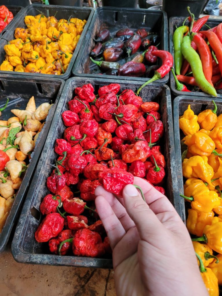 WhatsApp Image 2023-11-29 at 16.38.59 (2)