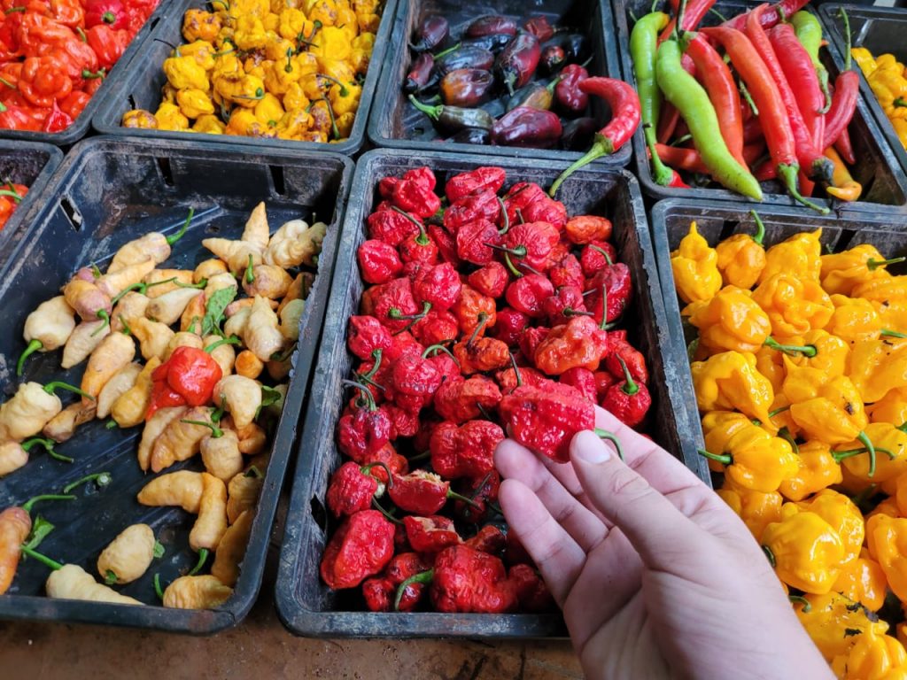 WhatsApp Image 2023-11-29 at 16.38.59 (3)