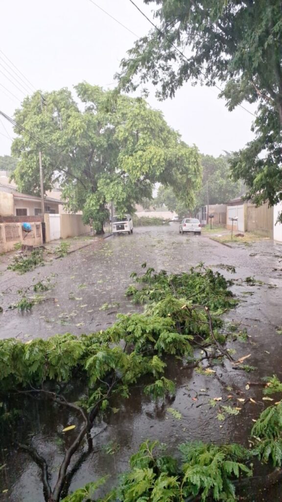 WhatsApp-Image-2023-12-18-at-08.24.09