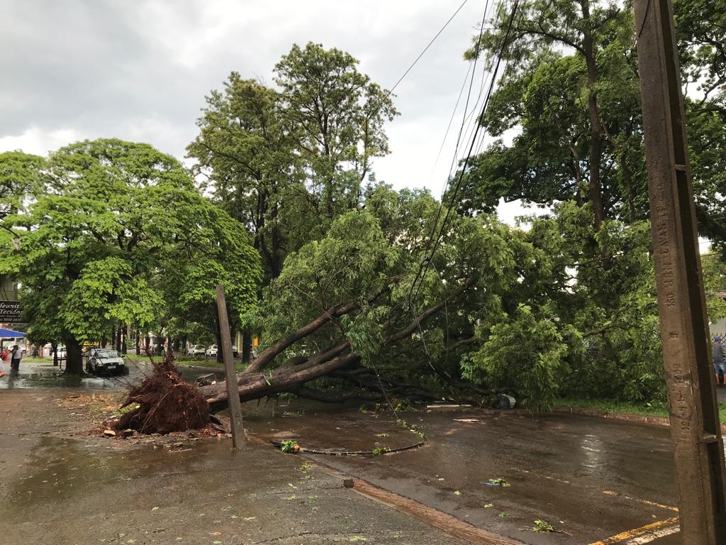 WhatsApp-Image-2023-12-19-at-08.28.04