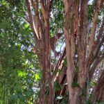 WhatsApp-Image-2023-12-27-at-10.04.55-1