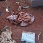 WhatsApp-Image-2024-01-10-at-09.12.19