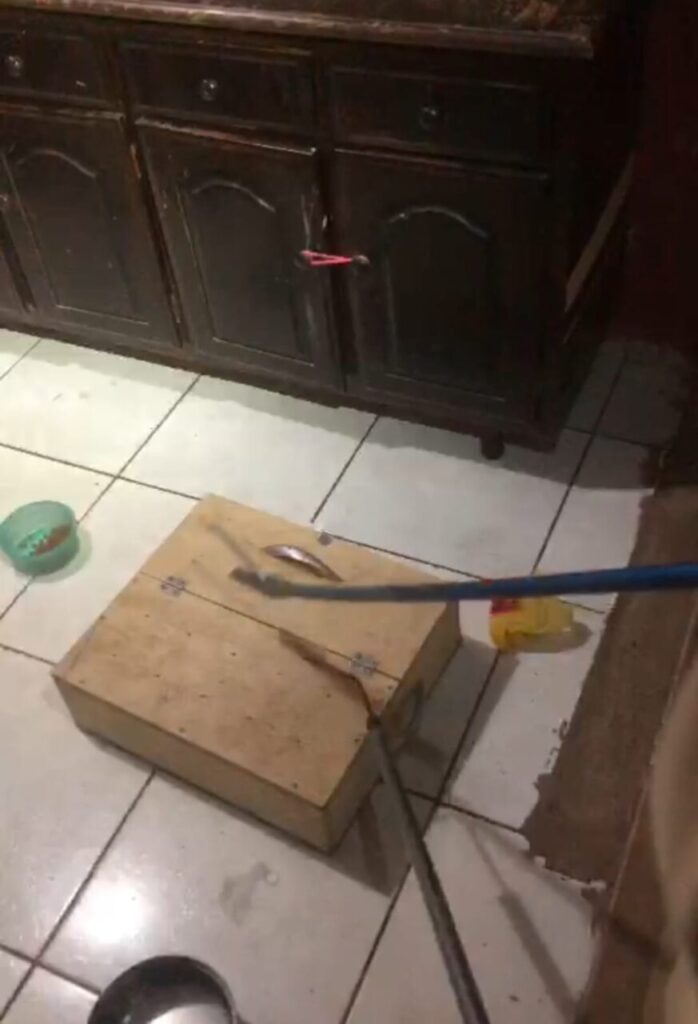 WhatsApp-Image-2024-01-10-at-14.01.06