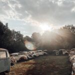 WhatsApp Image 2024-01-14 at 00.34.49