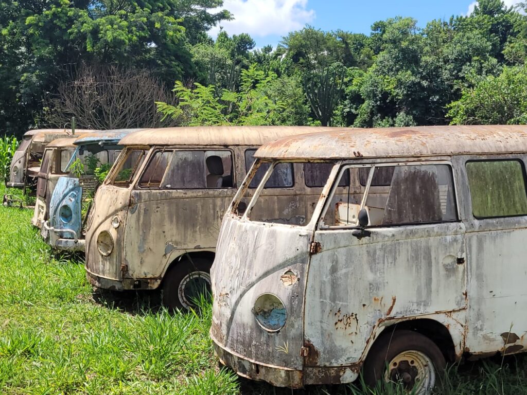 WhatsApp Image 2024-01-14 at 00.40.16