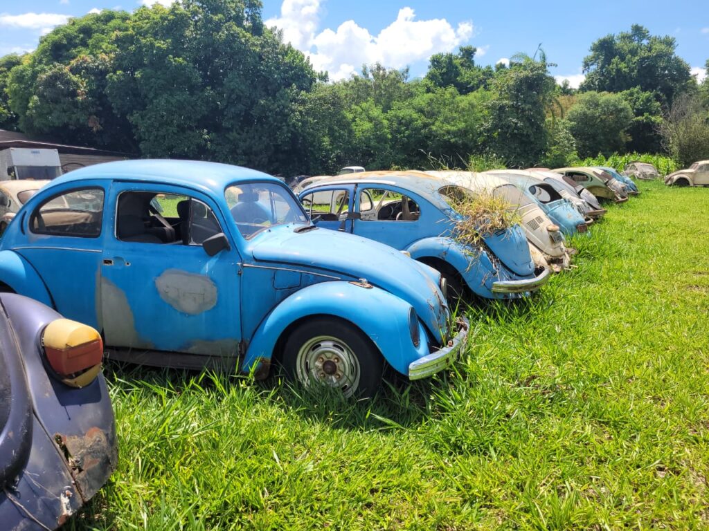 WhatsApp Image 2024-01-14 at 00.40.27 (1)