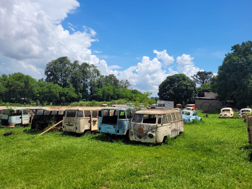 WhatsApp Image 2024-01-14 at 00.40.27