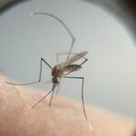 e21dcf5ac478c905467a3b97dbb25b97