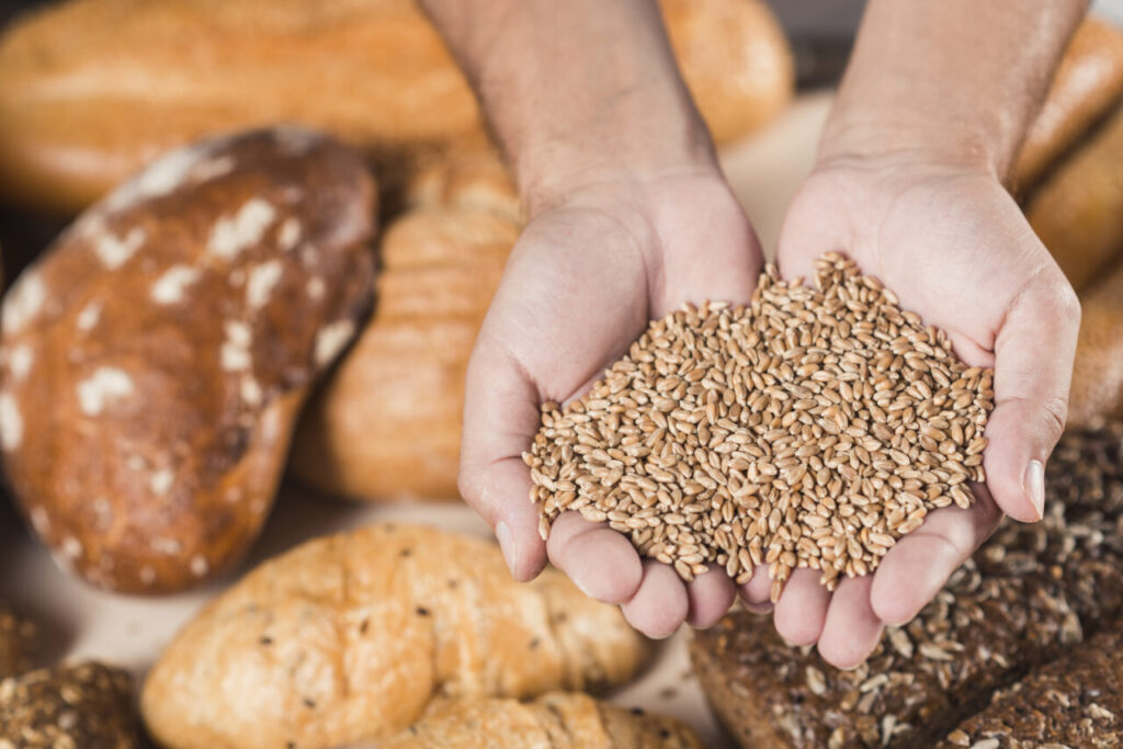 overhead-view-hands-holding-wheat-grains-baked-bread
