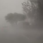 20211001112631__MG_713401