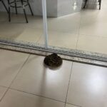 WhatsApp-Image-2024-03-12-at-15.54.24-1