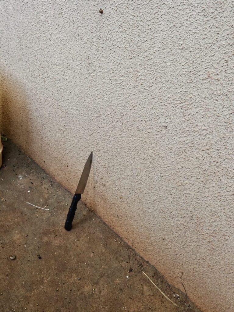 WhatsApp Image 2024-03-15 at 20.30.56 (1)