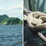 WhatsApp Image 2024-03-21 at 16.11.46