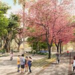 WhatsApp Image 2024-04-17 at 08.51.25