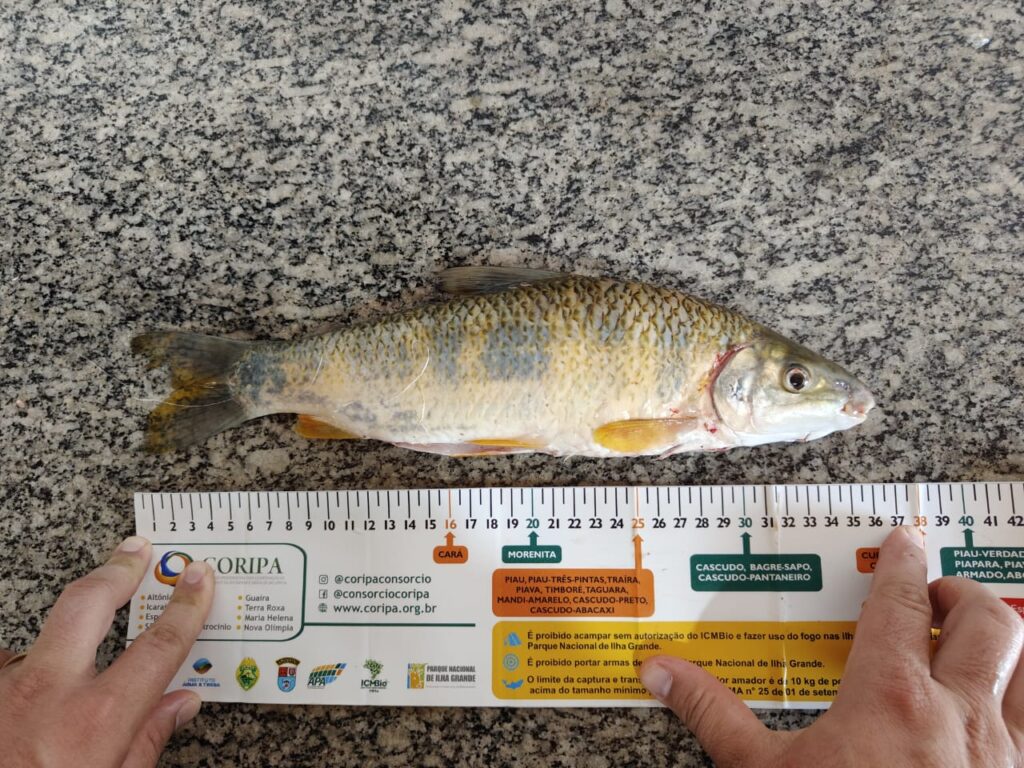 WhatsApp-Image-2024-05-23-at-17.17.31-1-1