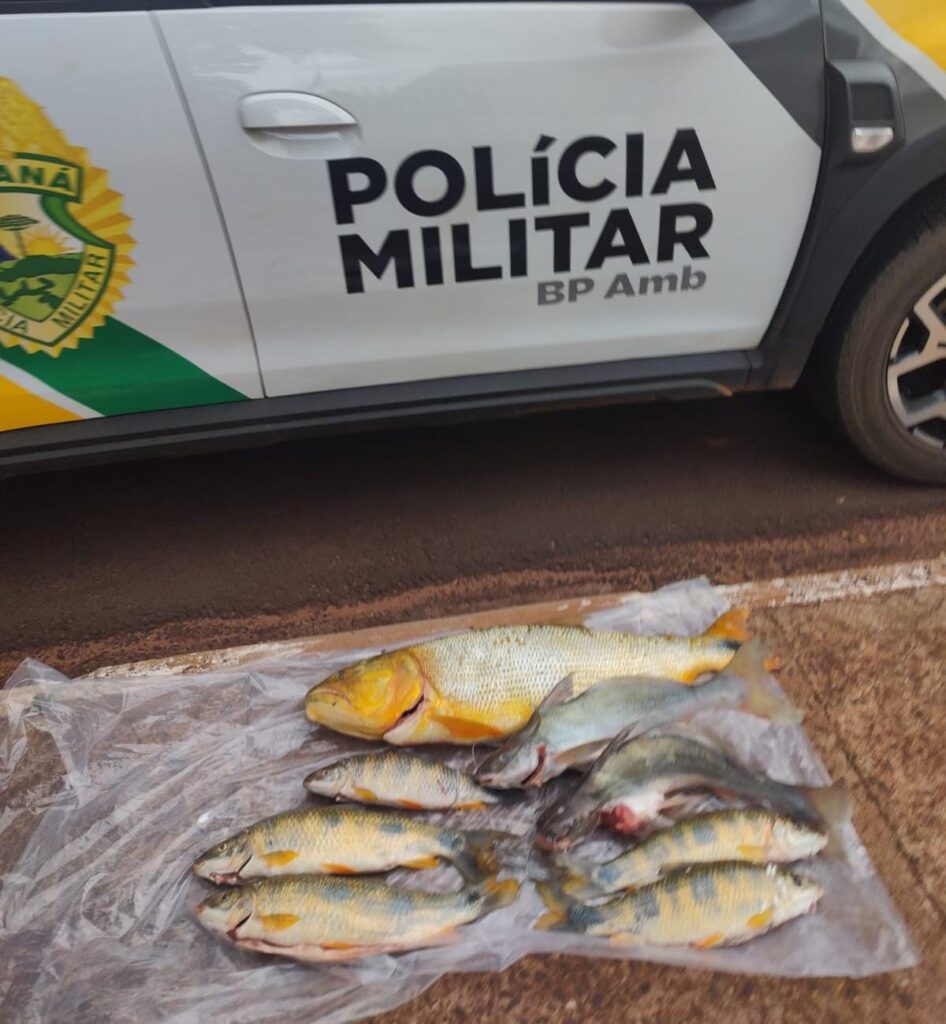 WhatsApp-Image-2024-05-23-at-17.17.31