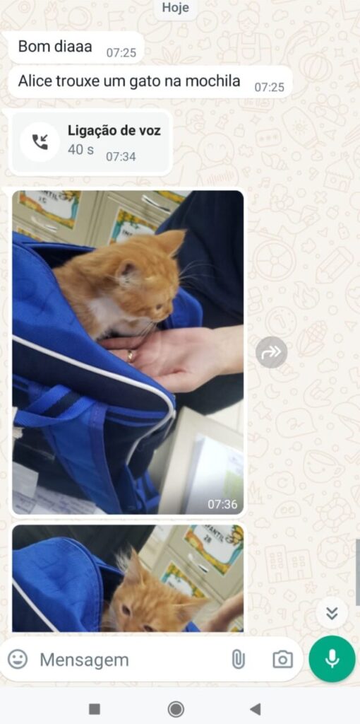 WhatsApp-Image-2024-05-24-at-09.38.59-1
