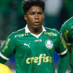 palmeiras_1717112689_3379708658156453066_288523451-1