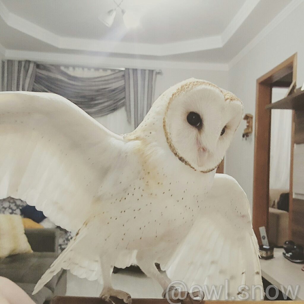 158230994_124962019630310_3480874883546753626_n