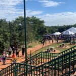 1831e7a7a86b6c9a5f13d47d22596fb1