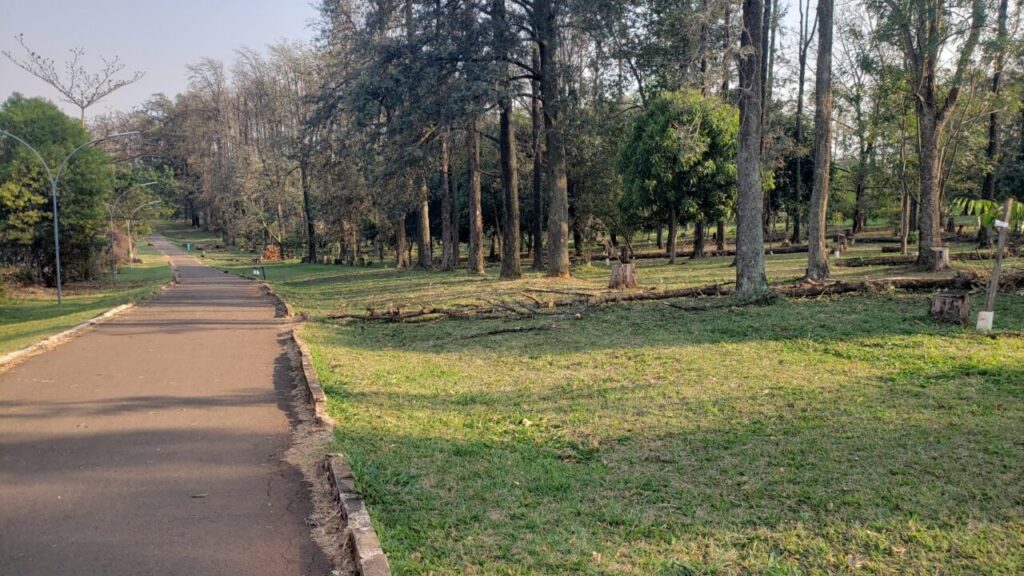 20210819_082742-1536×864-1