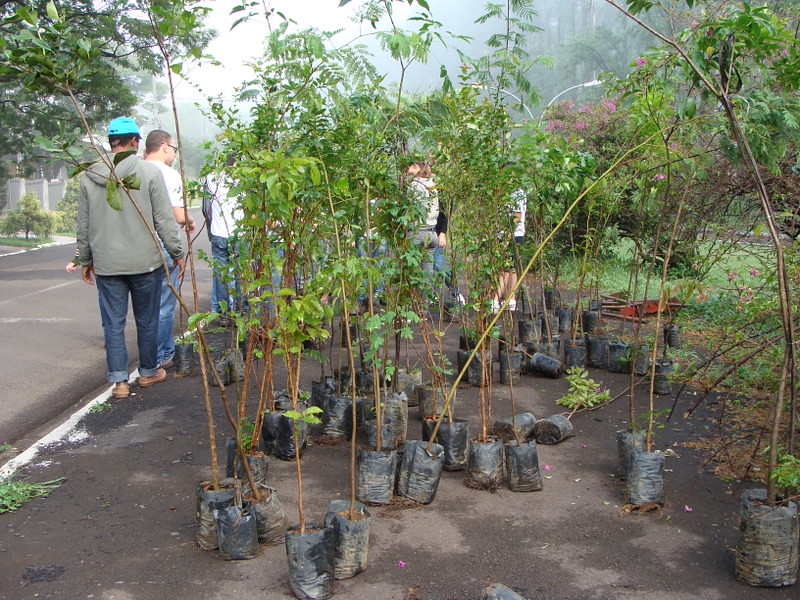 26291113629_e9742e53e7_b