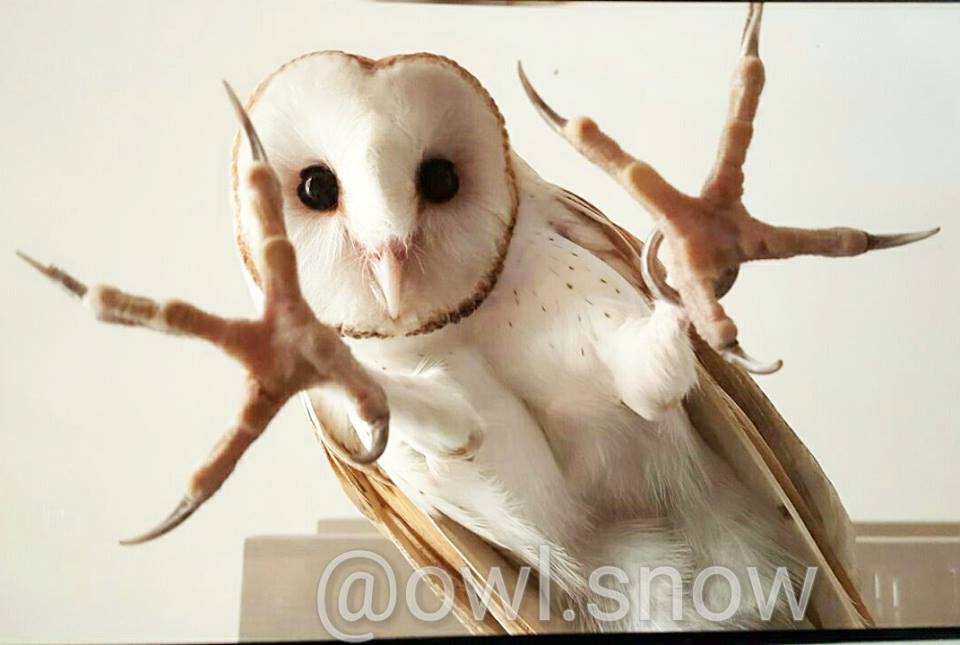 294f3f2282e38749c701ff36e5b73c86