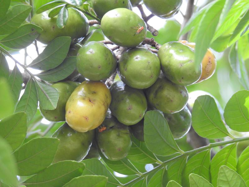 38067618781_ac1f639d18_b