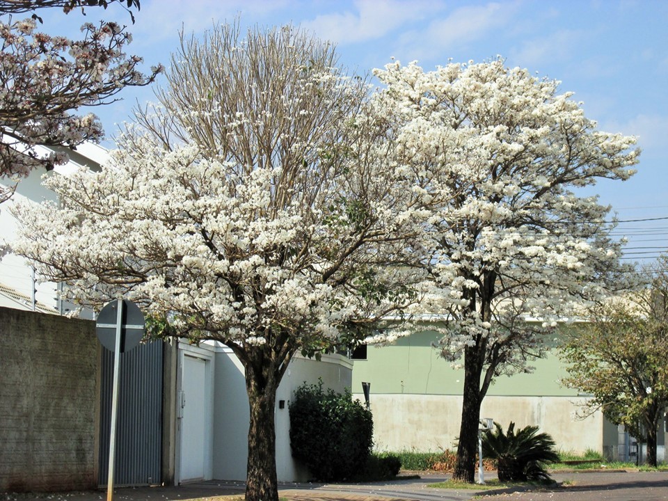 3fad859d6f42710affba33a9a6ac5b12