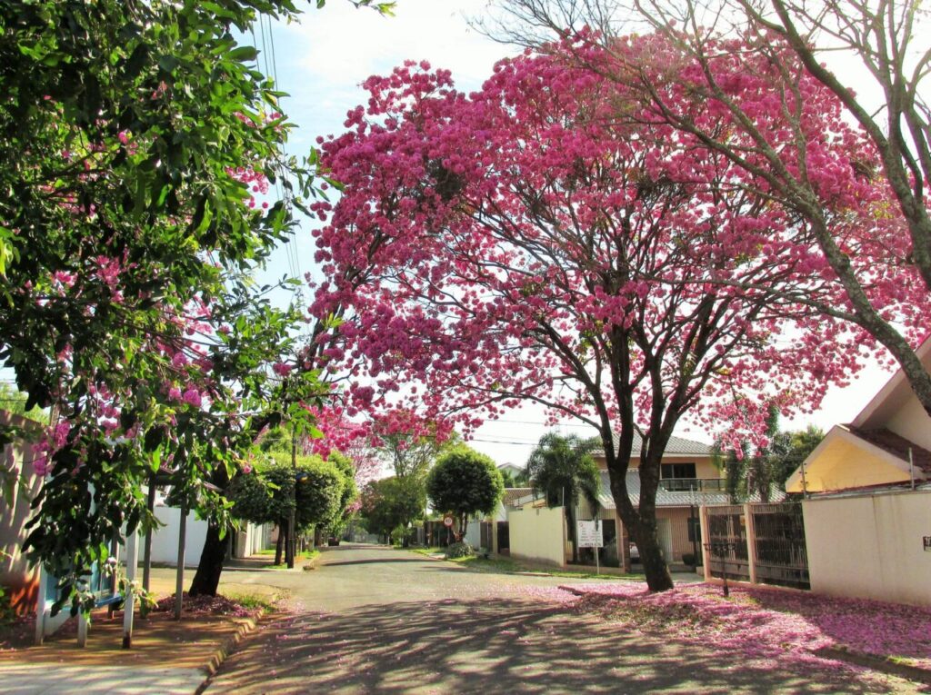 448518573_1012843033760446_1615592305835689231_n