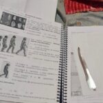 483f08fca04fba84b8926f7407cda168