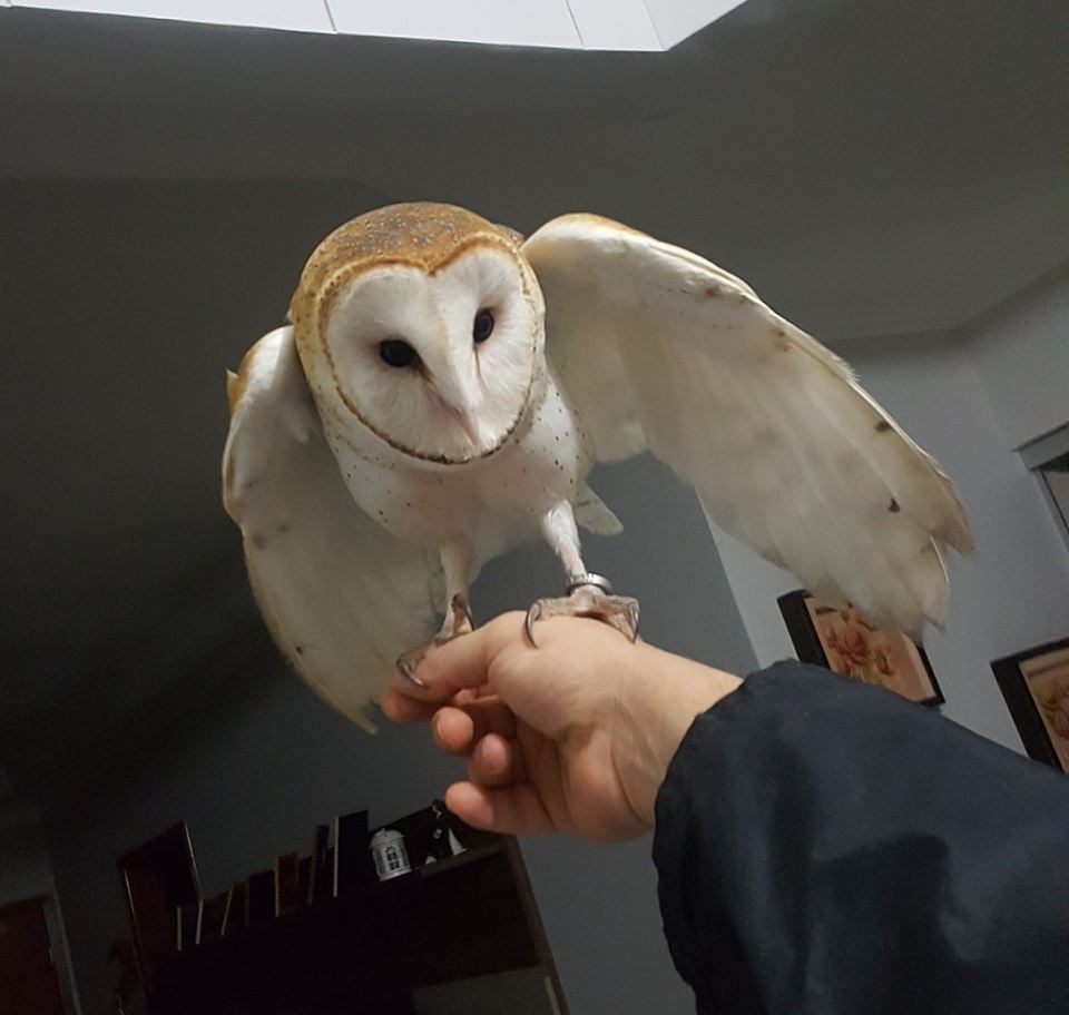 514dd81f30096ff5b9726525c47c0564