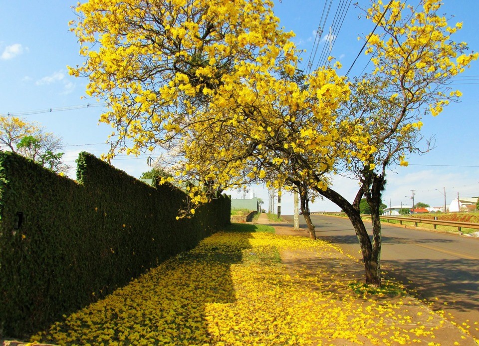 6797c6bddf1947002e61ad61549d7ebb