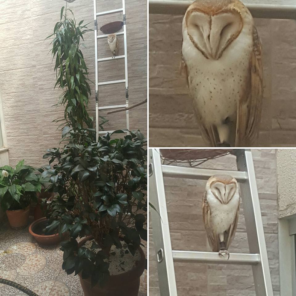 708b7dffa4dc4671cb771abd10dc0c60