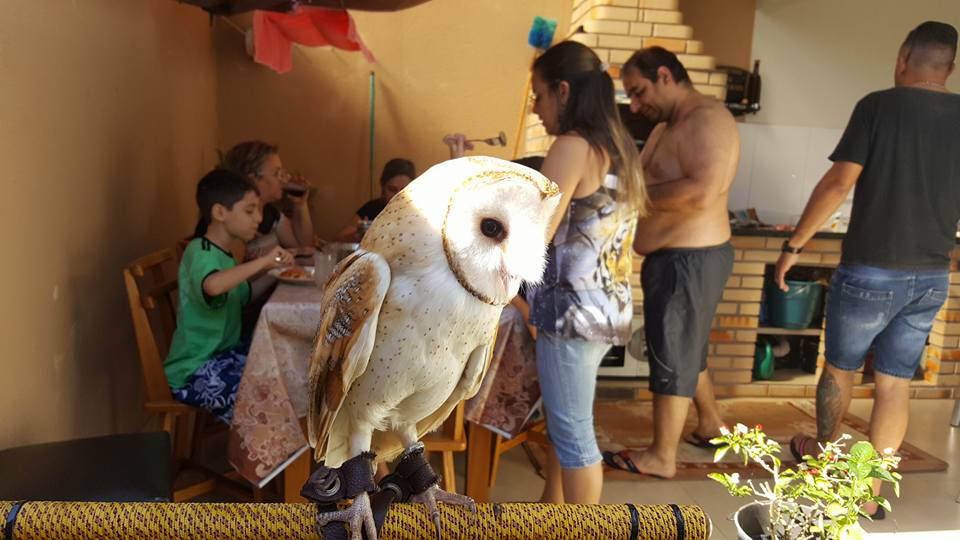 769890e6792661cc75af74a35c8f85a5