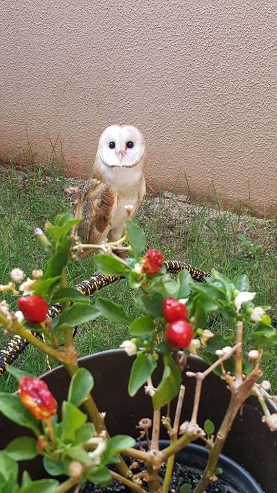 7b111ba16e632dd22f7fd6fd67fc82e4