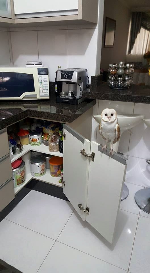 9858c1402a8c99c83dea9042a2ac3472