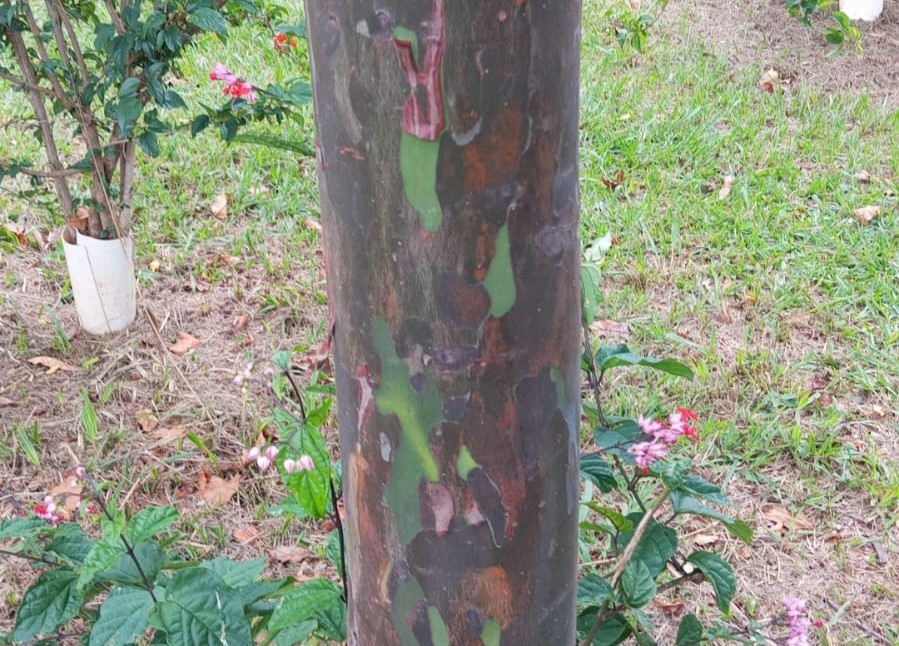 WhatsApp Image 2024-06-04 at 15.28.33