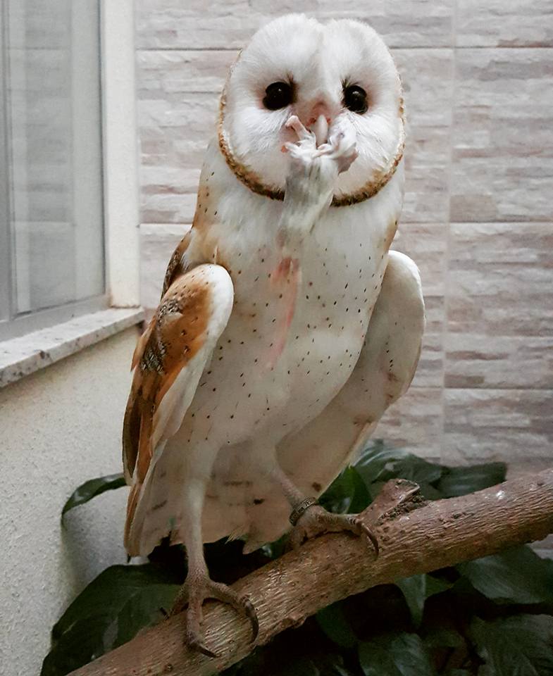 a8cc5daeed9e31e83a8baa600fdb1752